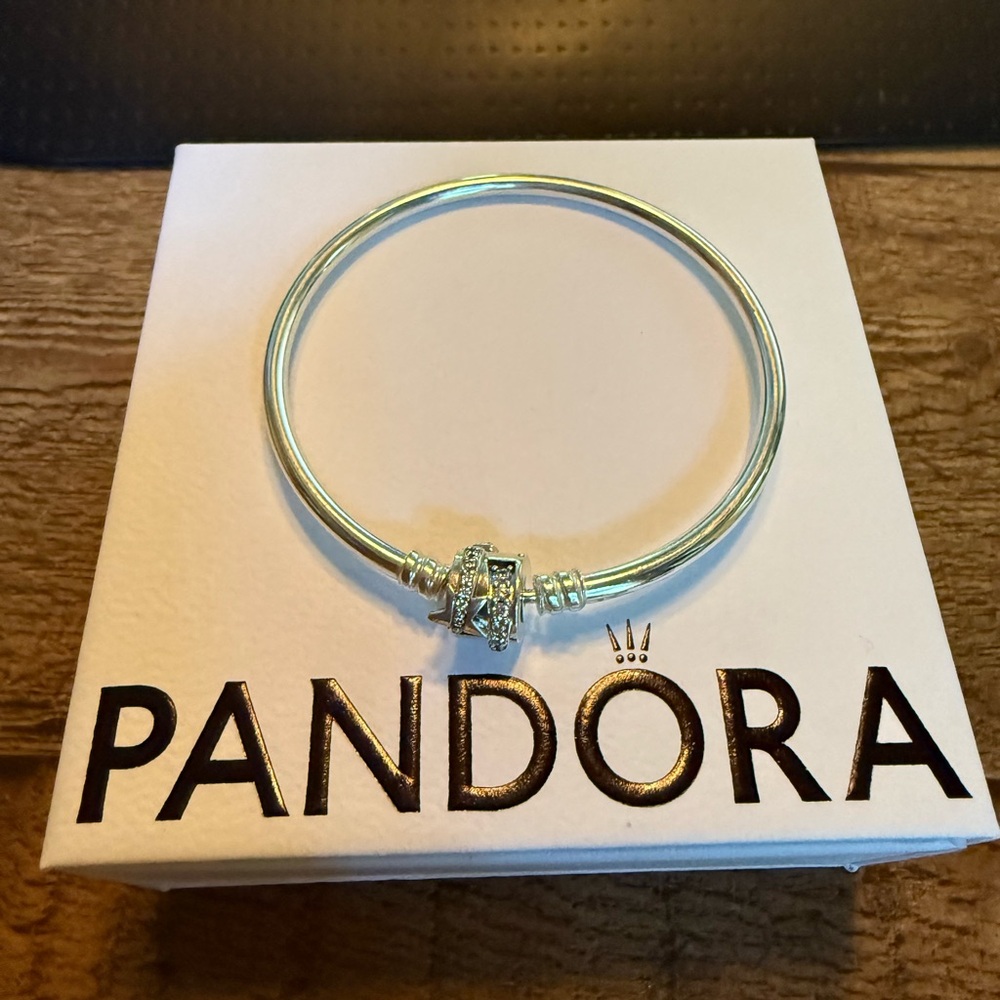 Pandora Silver Bracelet with Intricate Charm